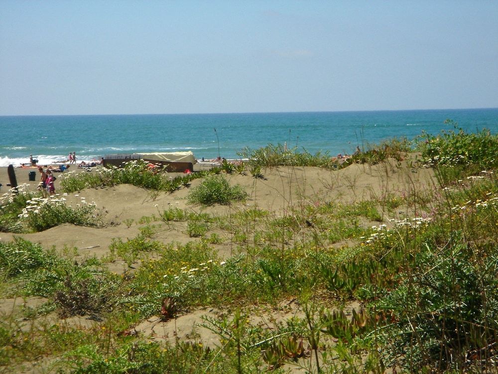 undefined Camping Internazionale di Castelfusano