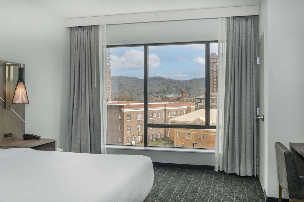 Embassy Suites By Hilton Asheville Downtown Suite, 1 King Bed, City View 5