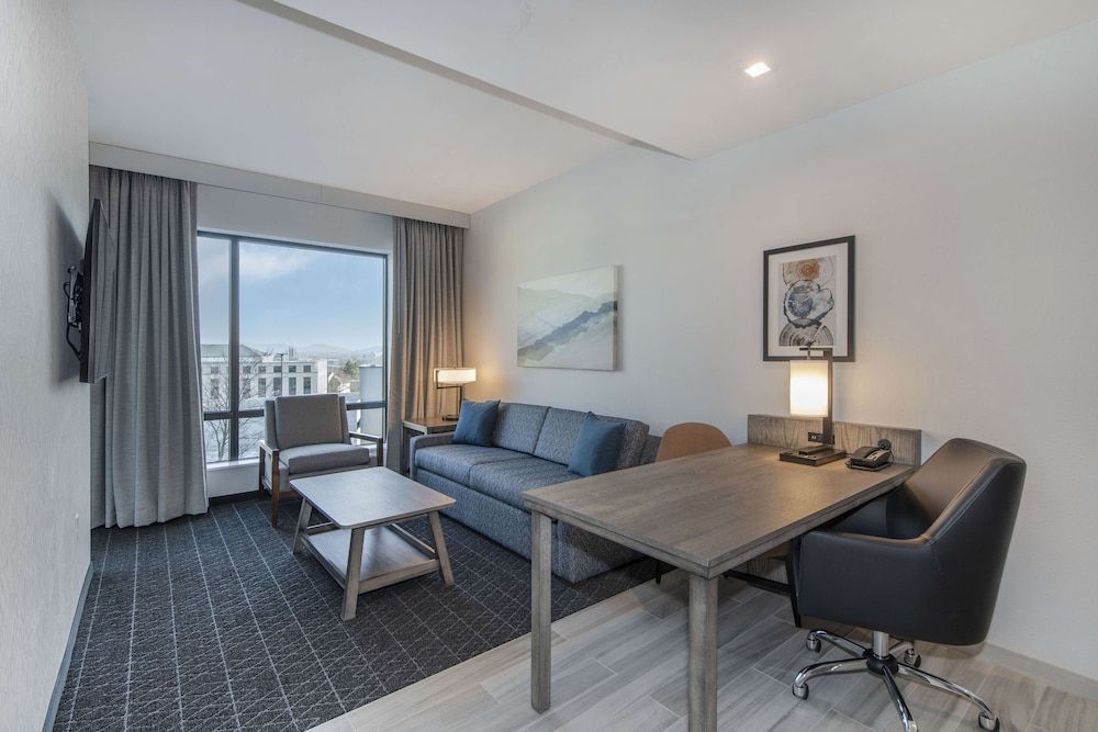 Embassy Suites By Hilton Asheville Downtown Suite, 1 King Bed 2 Room 4