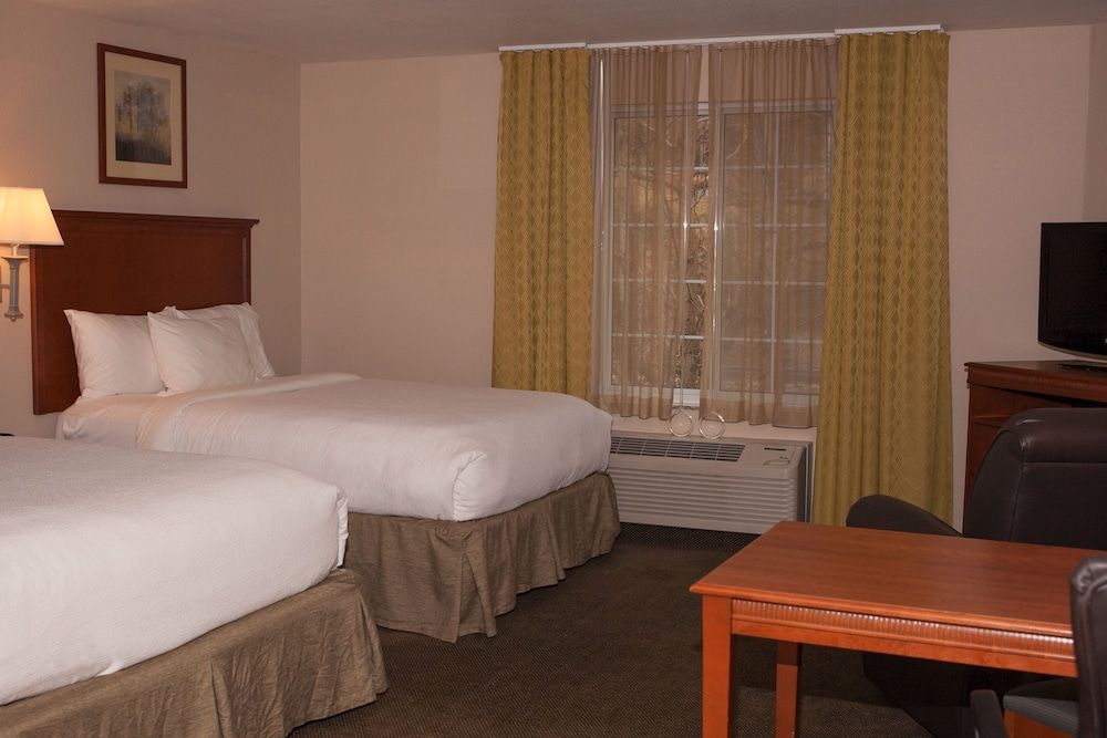 Studio Suite, 2 Double Beds (Full Kitchen)