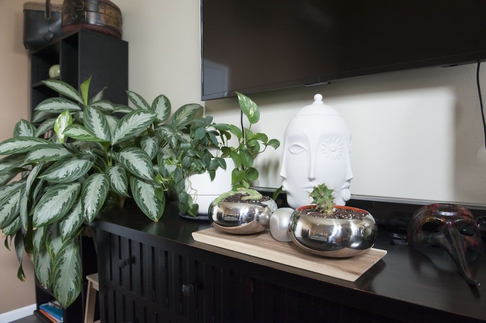 undefined Chicago Townhome