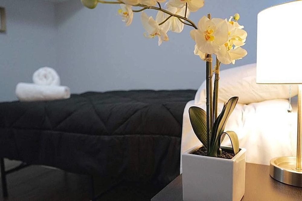 undefined The Karlov Connection - Ohare Wrigley Gateway 6