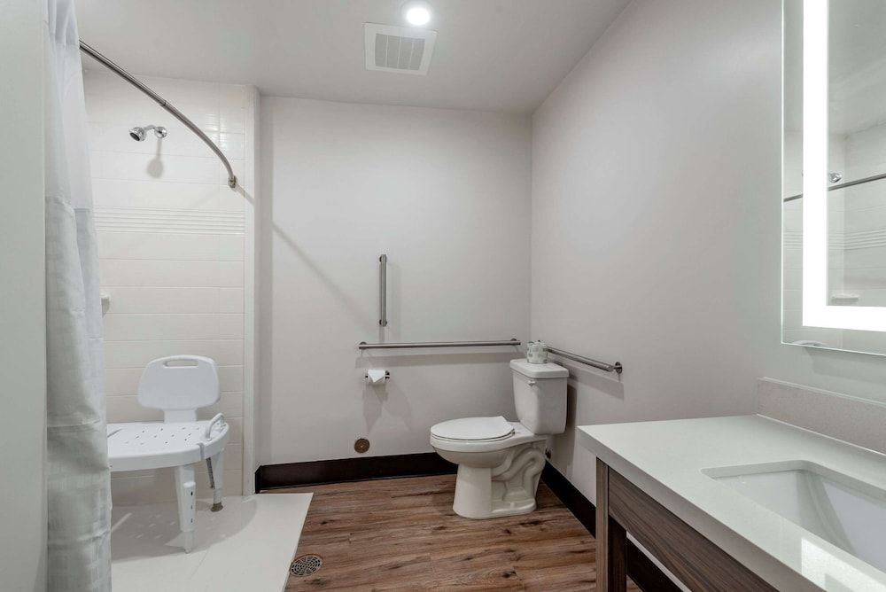 Suite, 1 King Bed, Accessible, Non Smoking (Efficiency)
