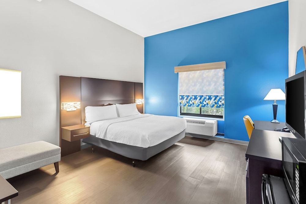 Suite, 1 King Bed with Sofa bed