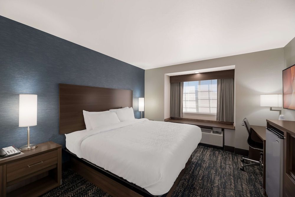 Standard Room, 1 King Bed, Accessible, Non Smoking