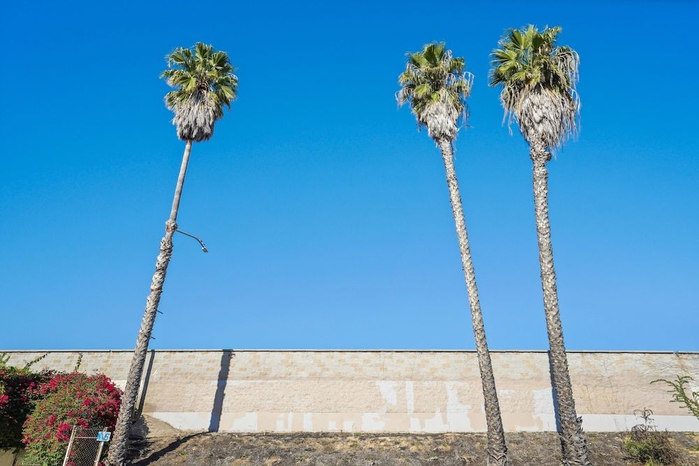 undefined Smarter Bed And Breakfast 4