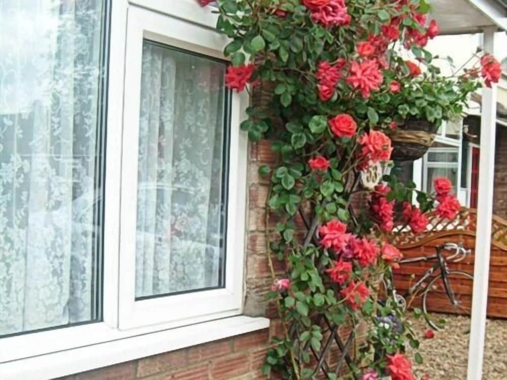 undefined Rosa's BB 2