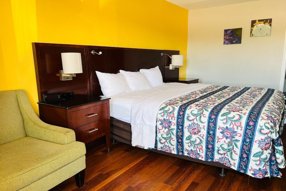 Room, 1 King Bed, Smoking