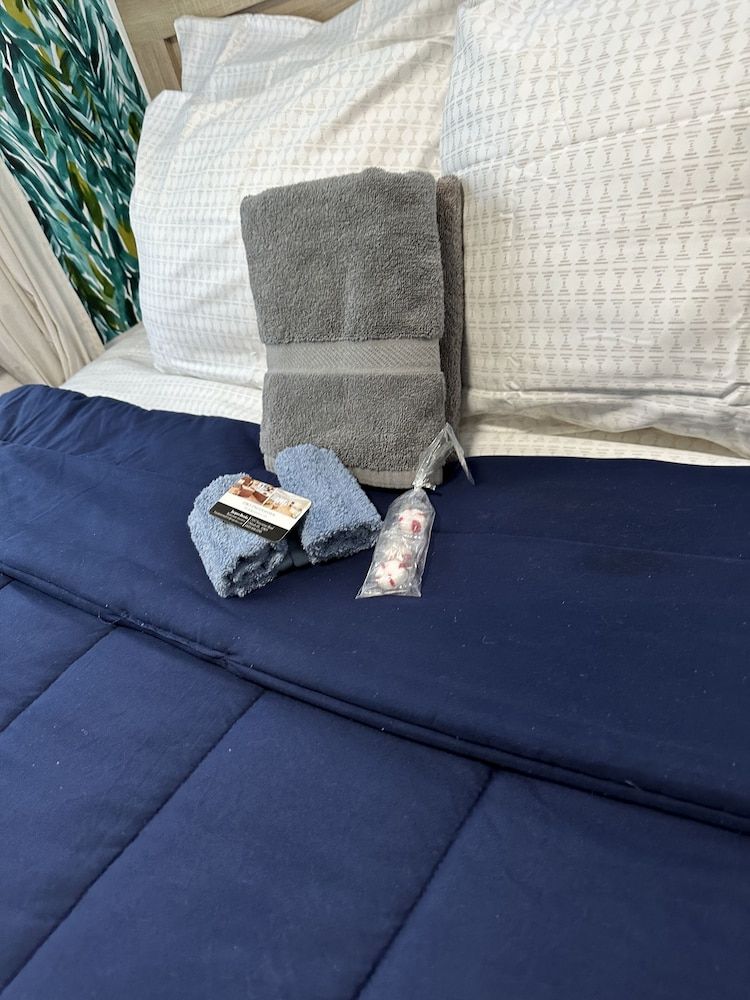 undefined Modern Tropical Downtown Orlando 10