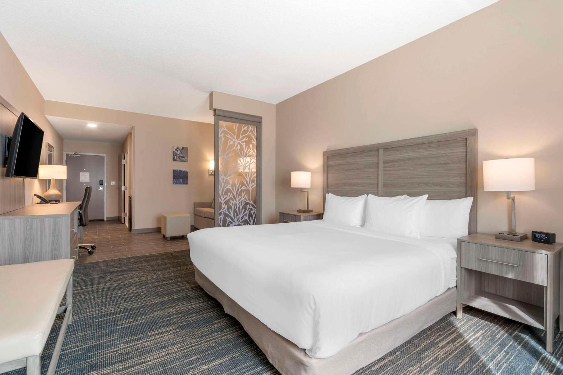 King Suite (2 Adults + 1 Children)