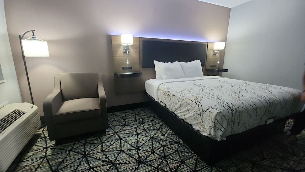 Room, 1 King Bed, Non Smoking