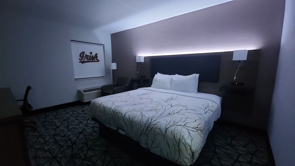 Room, 1 King Bed, Non Smoking