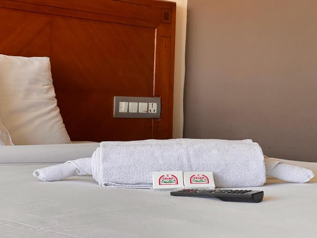 Hotel Jc Grand Deluxe Double Room 4