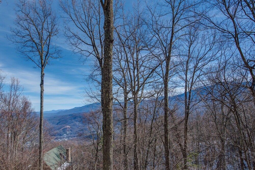 God's View