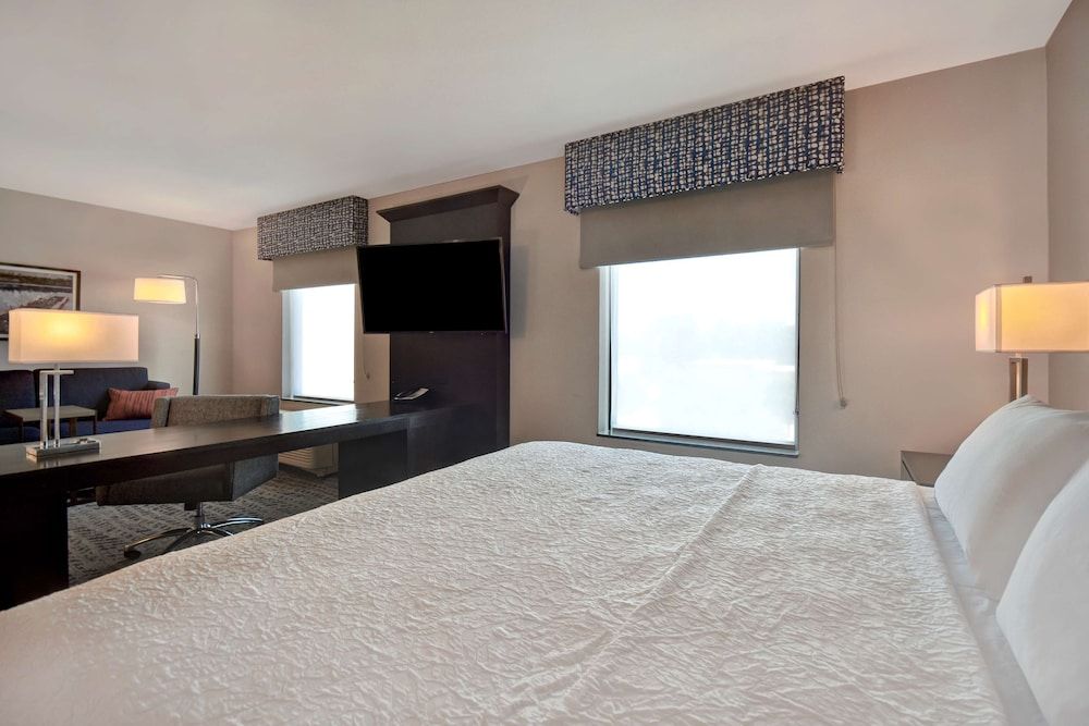 Suite, One King Bed