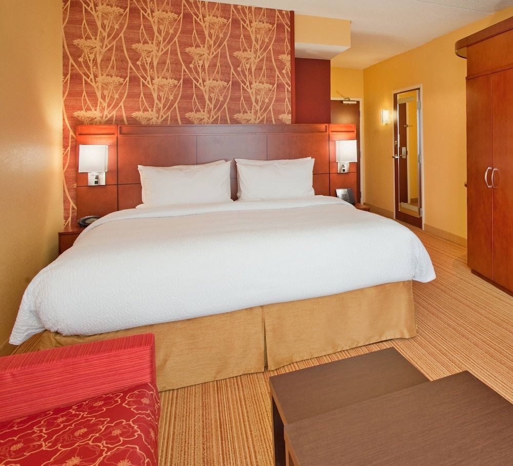 Room, 1 King Bed with Sofa bed (Hearing Accessible)
