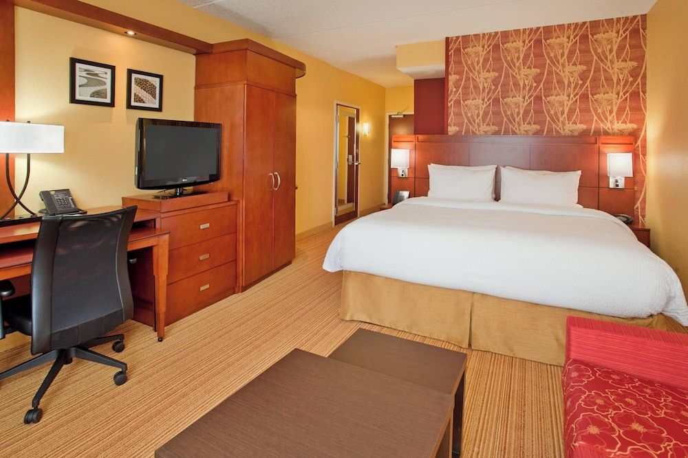 Room, 1 King Bed with Sofa bed (Mobility Accessible, Roll-in Shower)