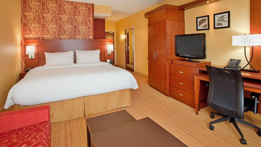 Room, 1 King Bed with Sofa bed (Hearing Accessible)