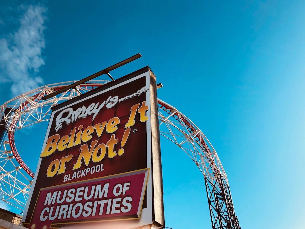 undefined Chelsea Suite Sasco Apartments 8