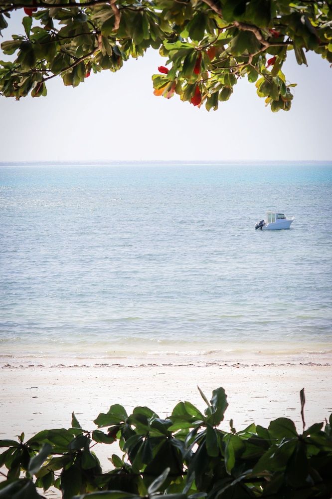 Michamvi Sunset Bay Deluxe Room 4