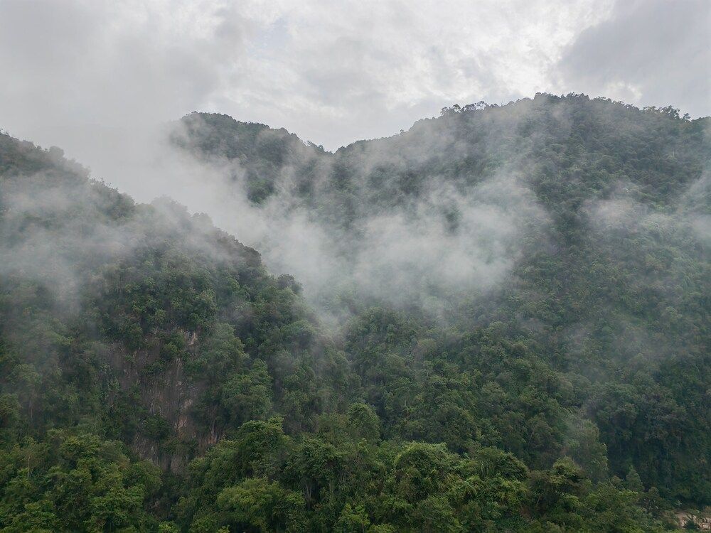 undefined Mountain & Theme Park Views' Cozy Suite 4