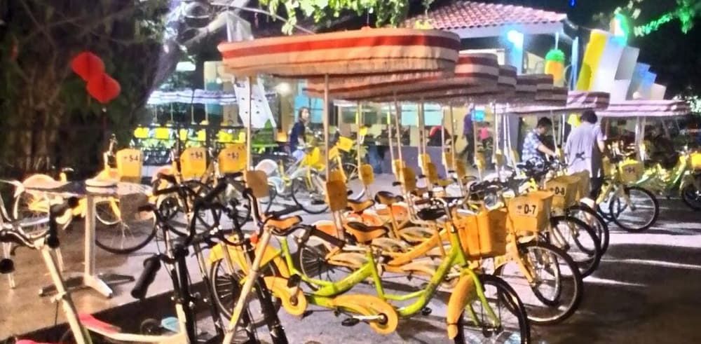 undefined Nature Green View 10 PAX 833 4