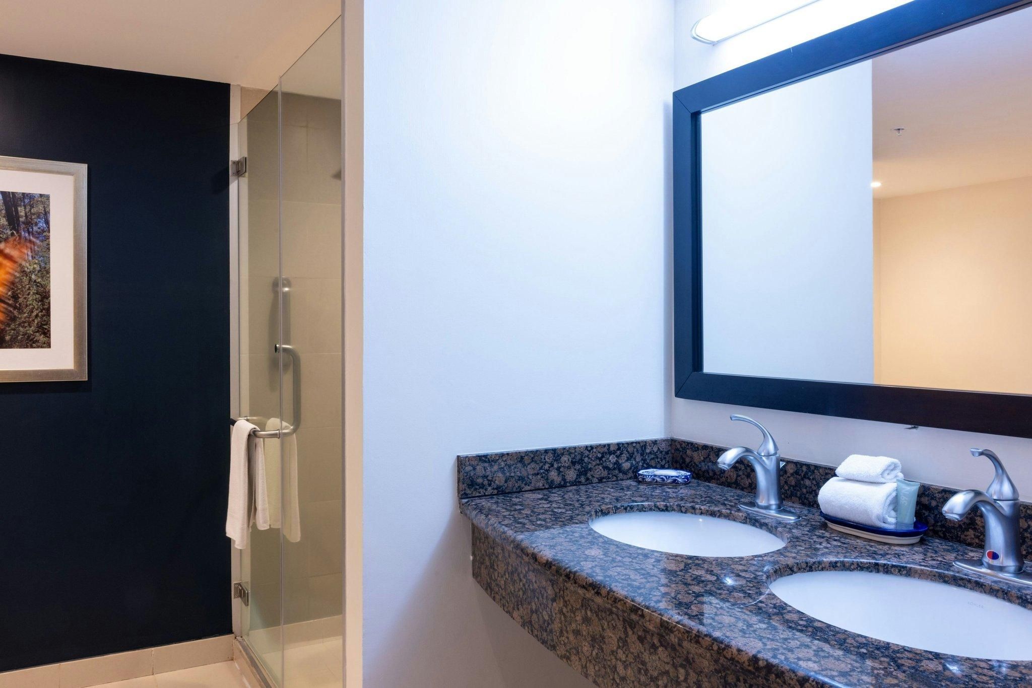 Master Suite, Larger Suite, 1 King