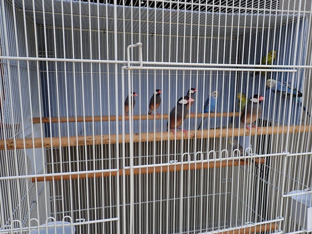 undefined Lemonia Holiday Resort 4