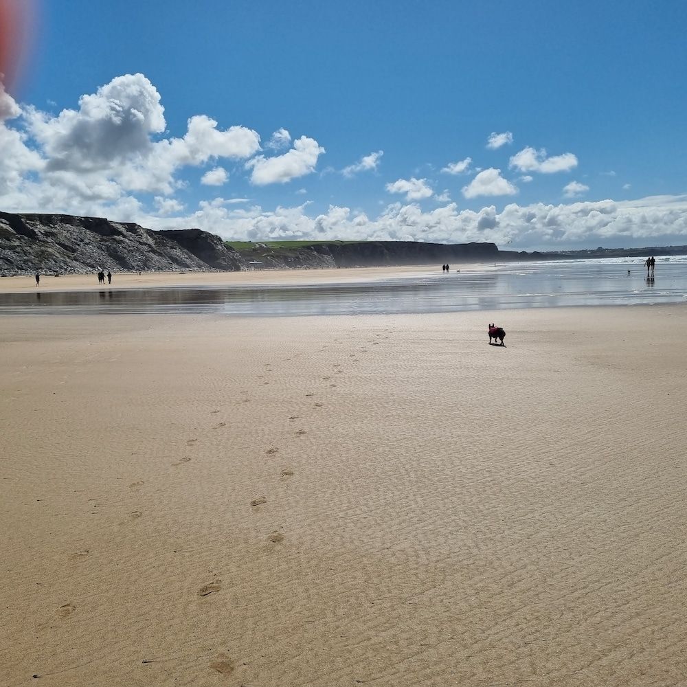 undefined Hegarty's Cottage at Trevarrian Lodge 2