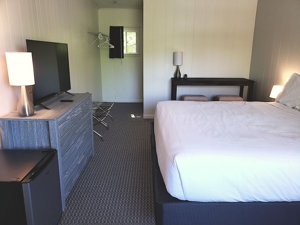 Room, 1 King Bed