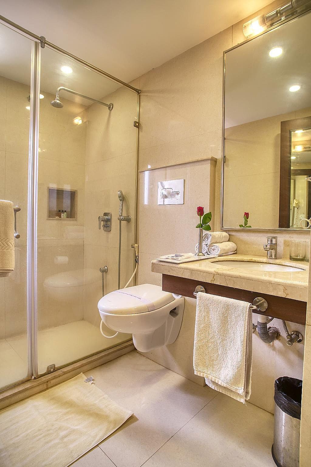 The Samilton - Kolkata Deluxe Room 3