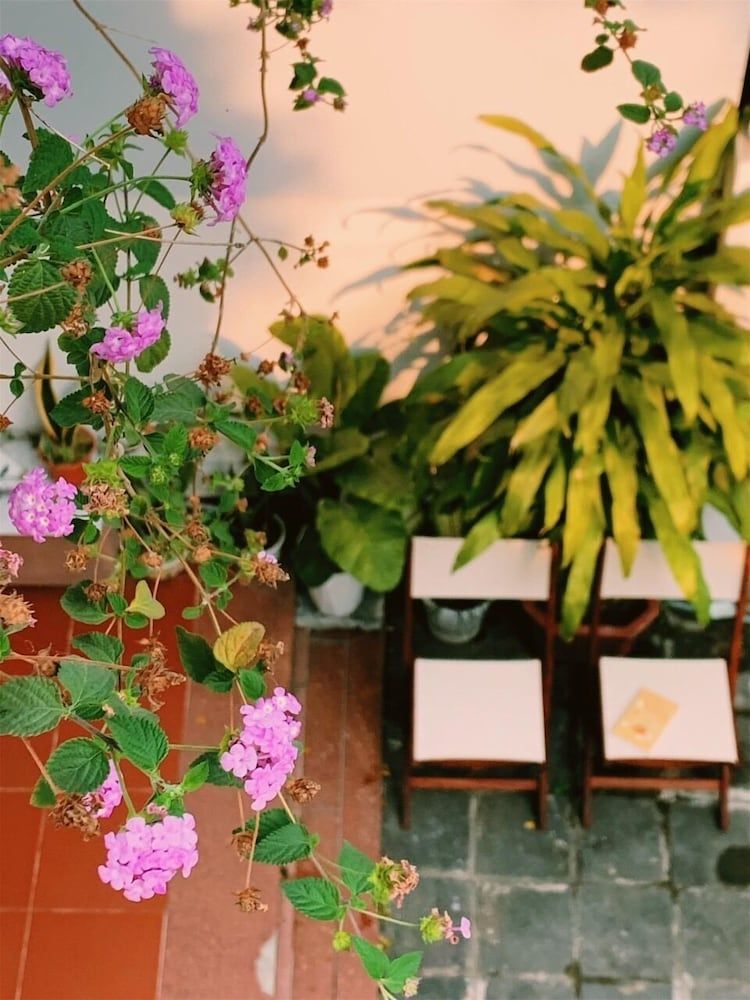undefined An Hien Homestay Hoi An 6