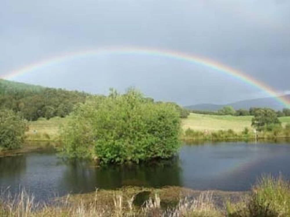 Water-based activities