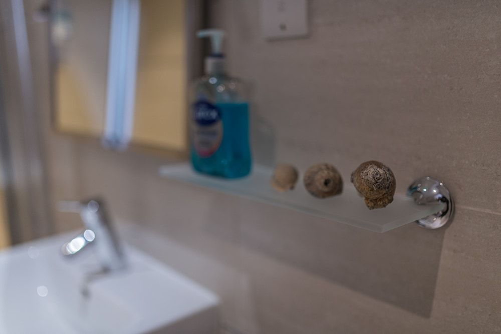 2 Bedroom Penthouse with Parking Premium Penthouse 18