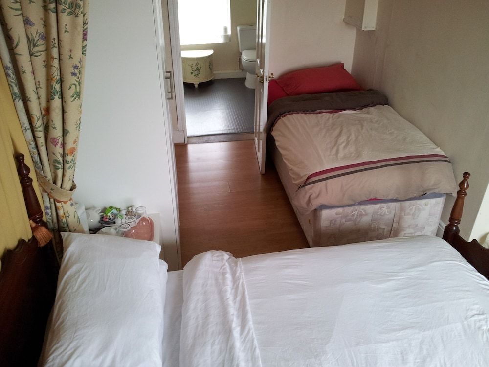 undefined O'Tooles 4