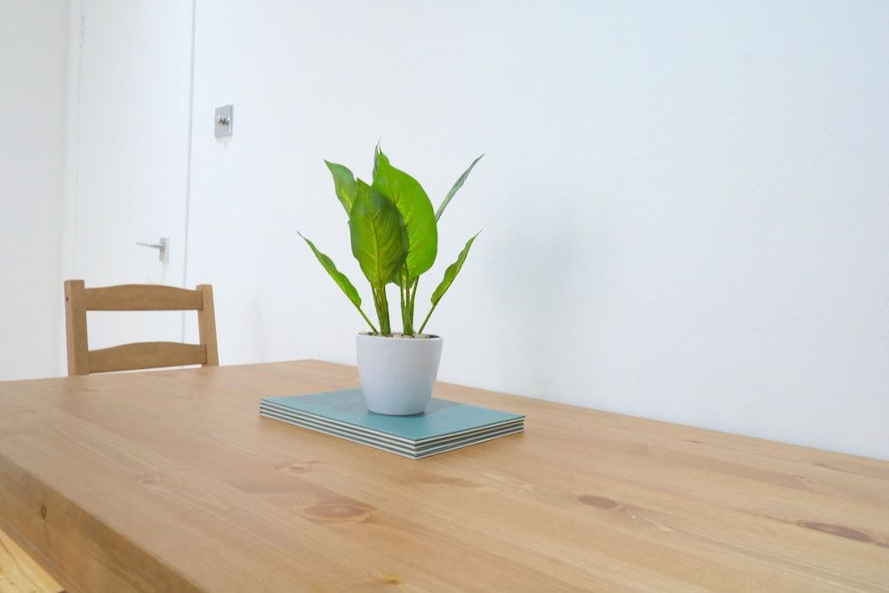 Comfortable Apartment in West End Apartment 18
