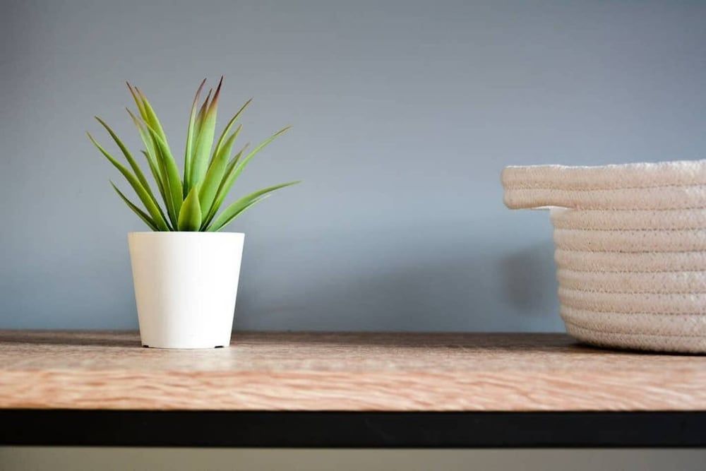 Maple House Bristol House 20