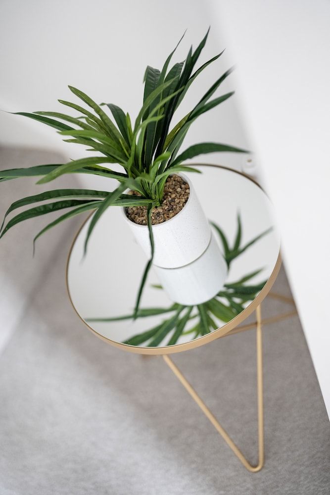 undefined Fortified Three Bedroom Home Bristol 10