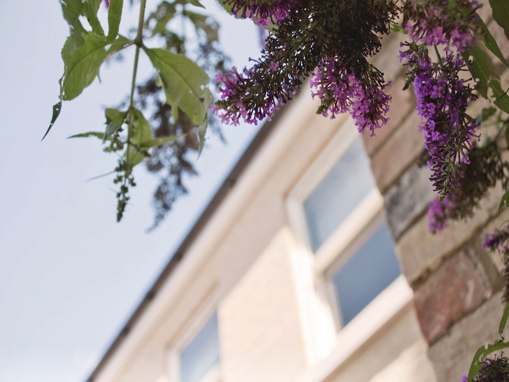 undefined Your Space Apartments - Manor House 3