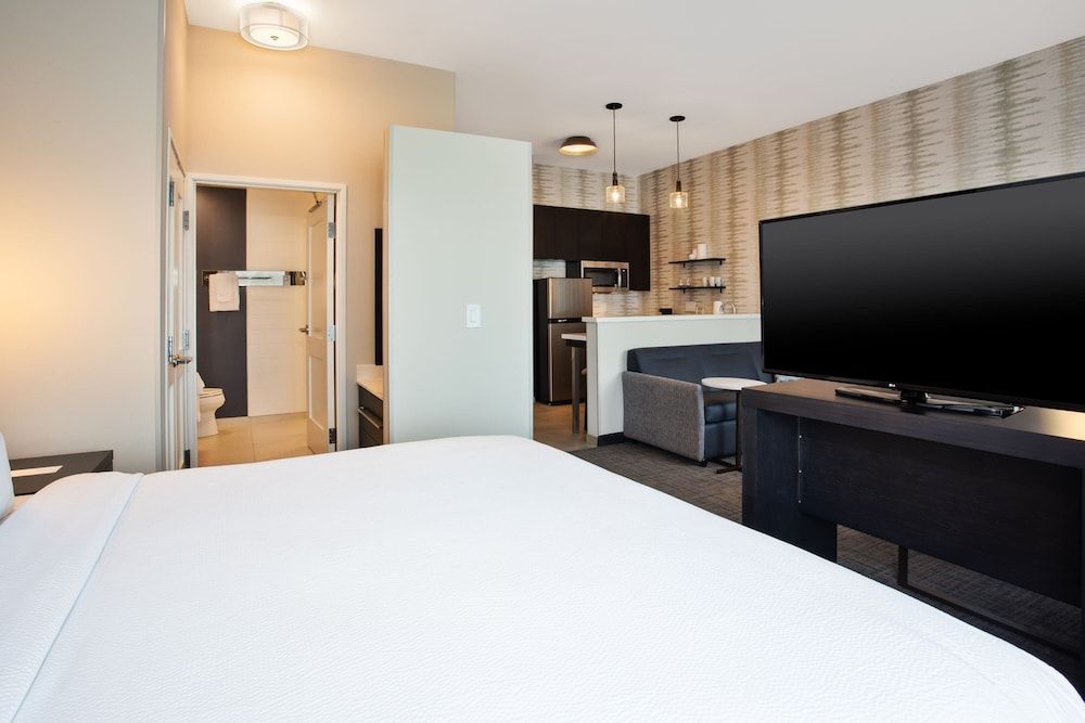 Studio, 1 King Bed with Sofa bed