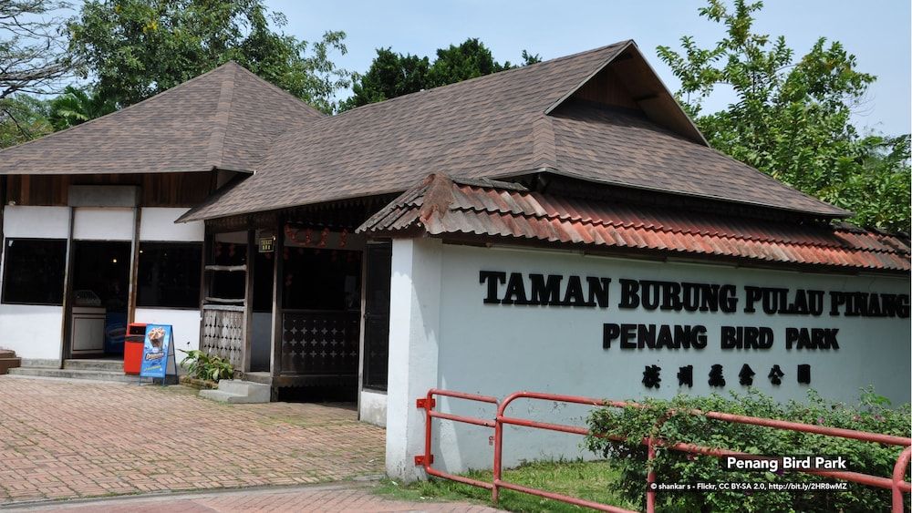 undefined W Home Cipete 3