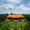 Mekong Riverside Boutique Resort & Spa