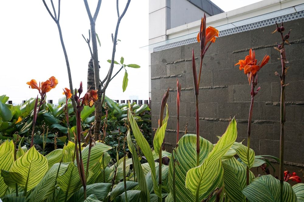 undefined Luxurious and Elegant 3BR Vittoria Apartment 2