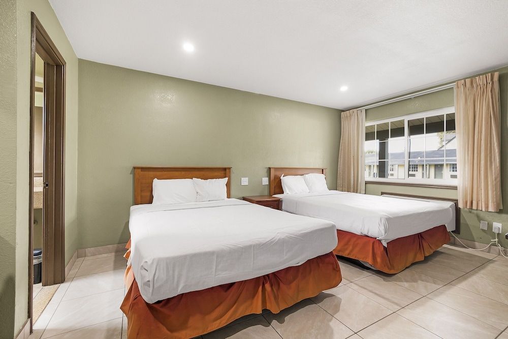 Safari Inn - Chico Double Room 2