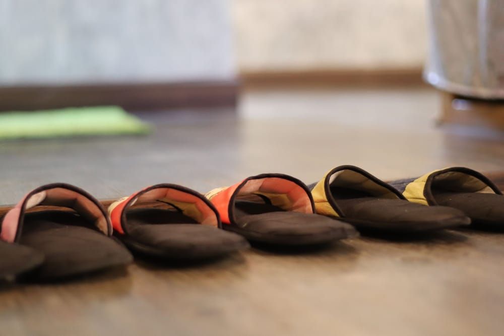 Leafy Greens Clay House Mushroom Clay House M1 16