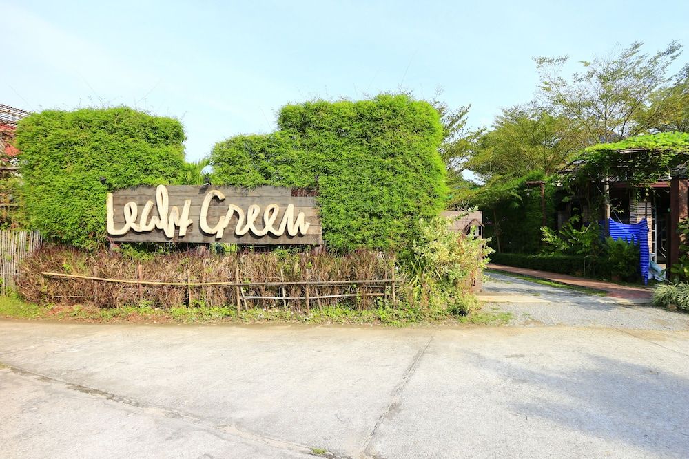 undefined Leafy Greens Clay House 6