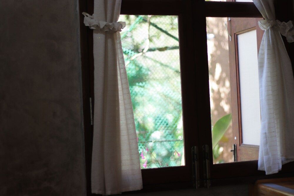 Leafy Greens Clay House Mushroom Clay House M1 17