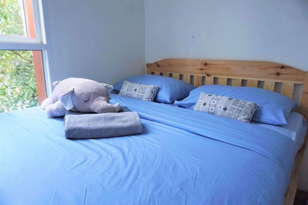 Two Gals And The Pig - Hostel Double Room with Shared Bathroom 2