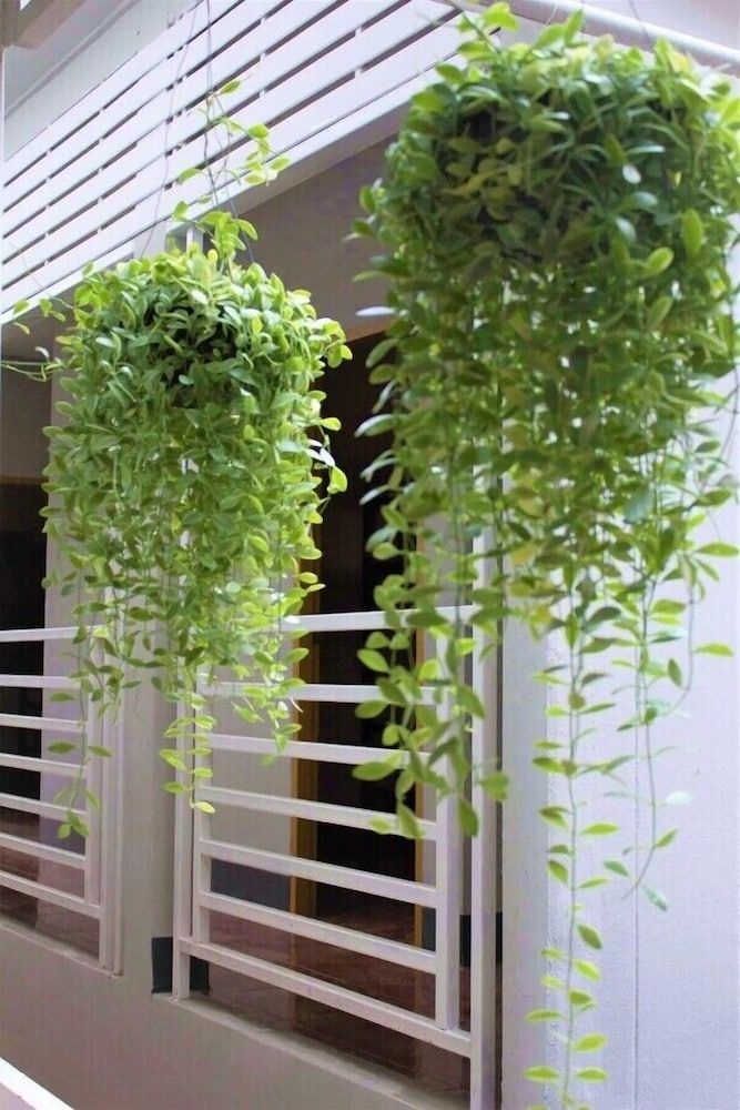 undefined Studio'Z 2