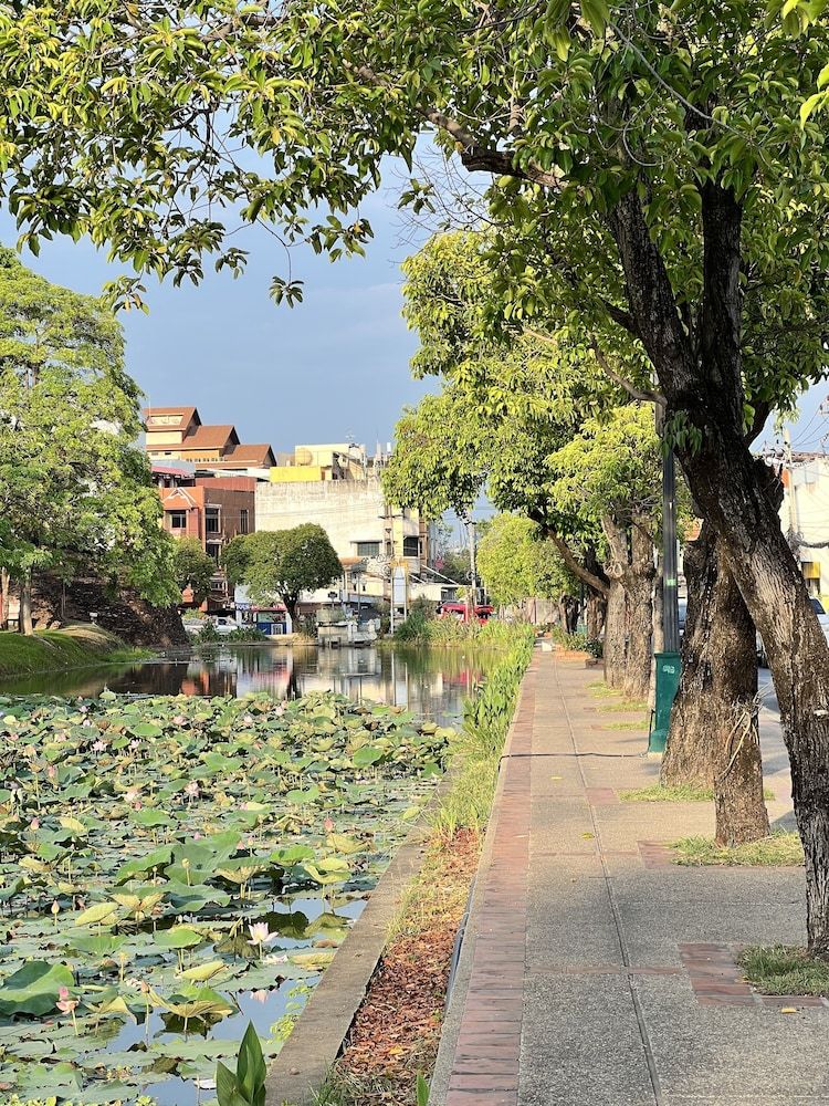 undefined Apivoyage Hostel Chiang Mai